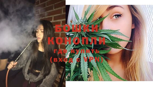 PSILOCYBIN Абдулино