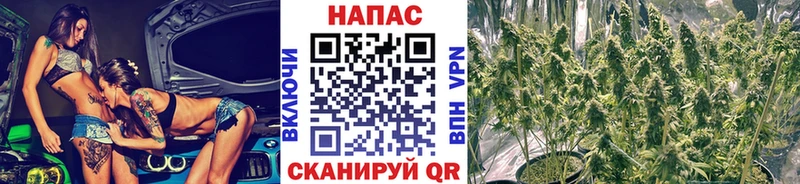 МАРИХУАНА тримм  даркнет сайт  Яблоновский 